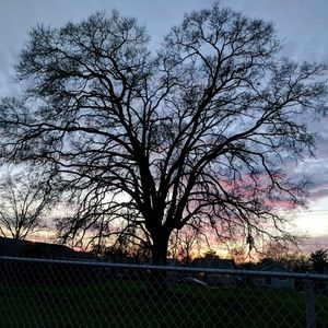 Meet your Posher, Fernando